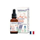 Anti -Aging - Opuntia (Stachelbirne, Stachelbirne) - ätherisches Öl, organisch, 30 ml