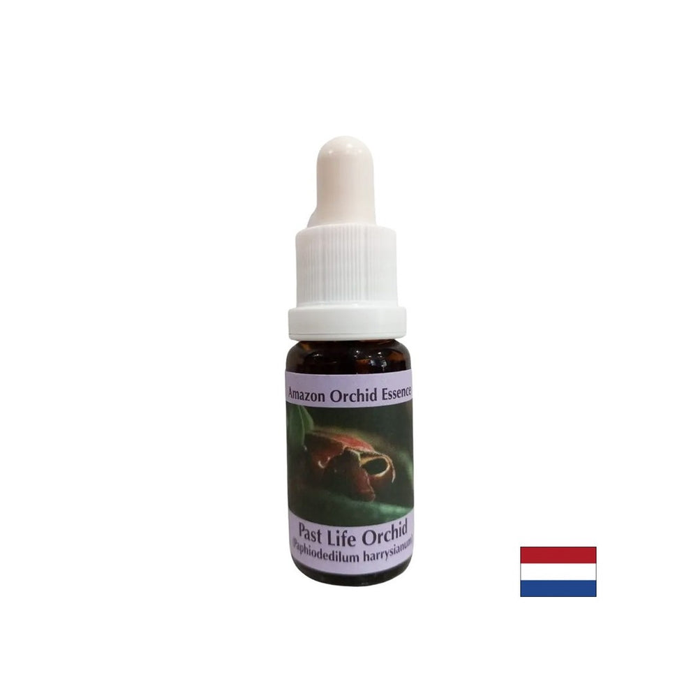 Bewusstsein der Gegenwart durch die Lektionen der Vergangenheit - Vergangenes Leben Orchideen Essenz Nr. 16, fällt 15 ml ab