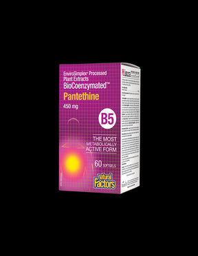 Pantethine BioCoenzymated™ 450 mg - 60 Gel capsules - Nutra Best Europe