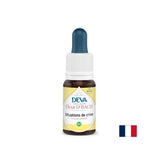 Erste Hilfe in Krisensituationen, Blumenessenzen, Bach -Methode, 15 ml