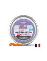Dr. Bach Lutschtabletten - N°41 Focus, 50 g (~ 40 Stück) <tc>Lemon Pharma</tc>
