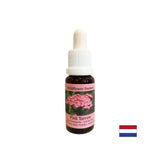 Schützen Sie Emotionen und allgemeine Gesundheit - Essence Pink Yarrow Nr. 35, Tropfen 15 ml