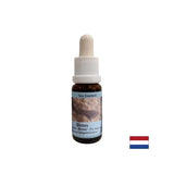 Unterstützt Intuition und Teilen von Emotionen - Essence Sea Dog Nr. 5, Tropfen 15 ml