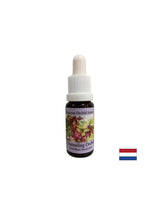 Hilft Medien bei der Übertragung von spirituellen Botschaften - Channing Orchidessenz Nr. 5, 15 ml Tropfen