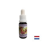 Hilft Medien bei der Übertragung von spirituellen Botschaften - Channing Orchidessenz Nr. 5, 15 ml Tropfen