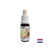 Hilft, die Bedeutung von Geld zu verstehen - Angel Essence Nr. 1, fällt 15 ml ab