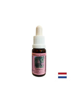 Hilft, negative Erinnerungen zu zerstreuen - Essenz Weidenblätter Nr. 37, Tropfen 15 ml