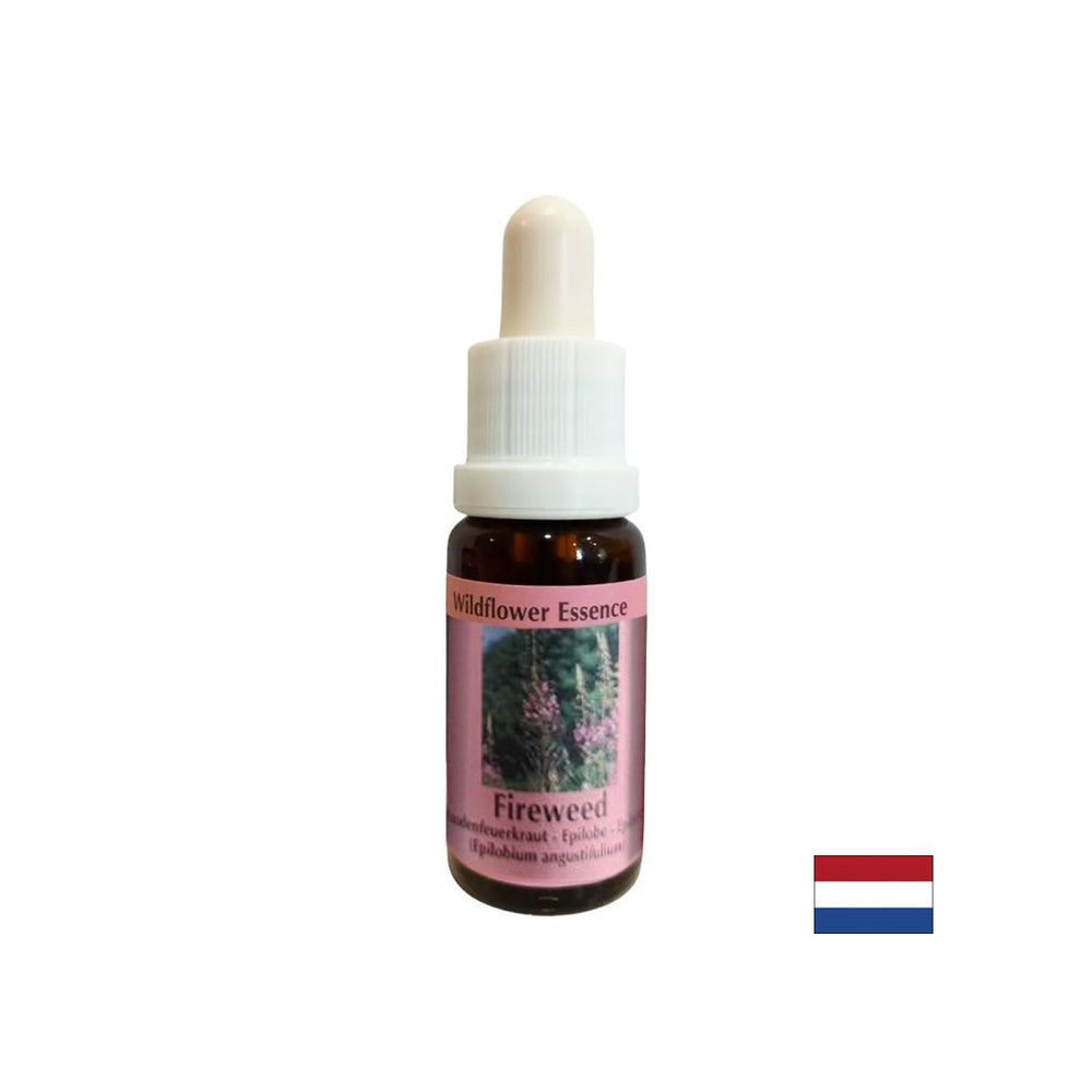 Hilft, negative Erinnerungen zu zerstreuen - Essenz Weidenblätter Nr. 37, Tropfen 15 ml