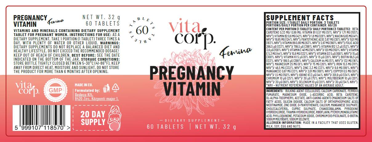 Schwangerschaft Vitamin Femina - 60 Tabletten