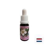 Lindert Spannung - Essence Janka Nr. 6, Tropfen 15 ml