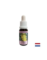Für Ressentiments und Selbstmitleid - Willow Essence Nr. 38, fällt 15 ml ab