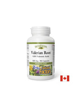 Valerian Wurzel 300 mg - 90 Kapseln