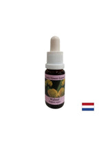 Bei Veränderung - Walnut -Essenz Nr. 33, fällt 15 ml ab