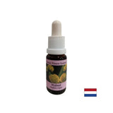 Bei Veränderung - Walnut -Essenz Nr. 33, fällt 15 ml ab