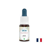 Für Eifersucht und Wut - Gel (Holly) fällt Bach Nr. 15, 15 ml ab