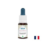 Aus Angst und emotionaler Instabilität - Gemeinsames Yarrow (Rock Rose), Bach Drops, 15 ml