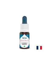 Für schwer zu exprimierende Emotionen-Softblätterer Salbei, Bach-Tropfen, 15 ml