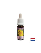 Klärt den Geist im Falle von Angst und Panik - Helianthemen Essence (gelb) Nr. 26, Tropfen 15 ml