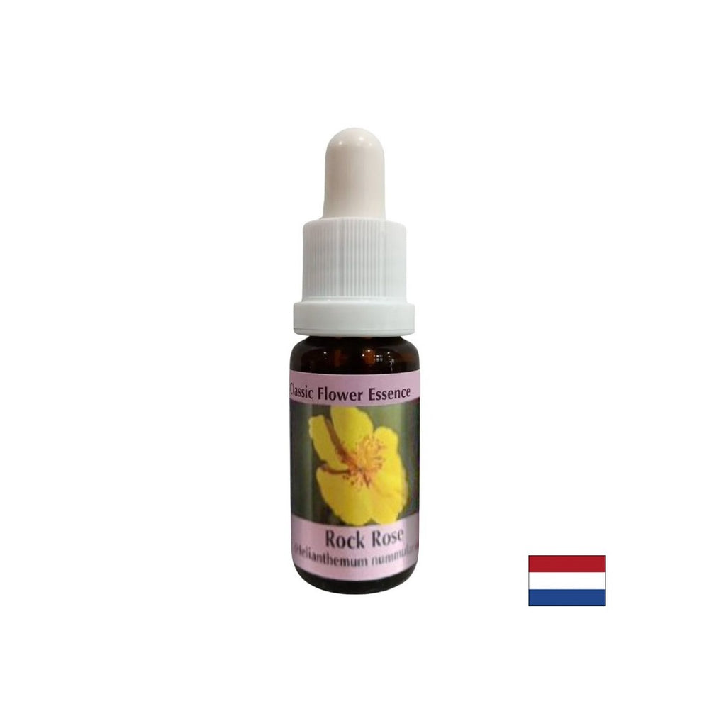 Klärt den Geist im Falle von Angst und Panik - Helianthemen Essence (gelb) Nr. 26, Tropfen 15 ml
