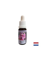 Erweitert das Bewusstsein und verbessert die Kommunikation - Angel Orchid Essence Nr. 3, fällt 15 ml ab