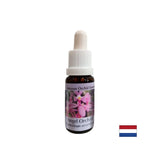Erweitert das Bewusstsein und verbessert die Kommunikation - Angel Orchid Essence Nr. 3, fällt 15 ml ab