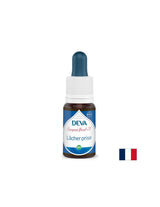 Entspannung, Blumenessenzen, Bach -Methode Nr. 7, 15 ml