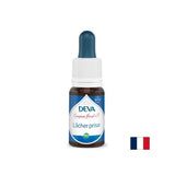 Entspannung, Blumenessenzen, Bach -Methode Nr. 7, 15 ml