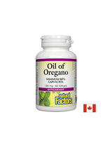 Öl von Oregano organischer 180 mg - 60 Gelkapseln
