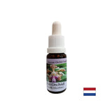 Schafft Stimmung und Freude - Essenz fröhliche Orchidee Nr. 11, fällt 15 ml