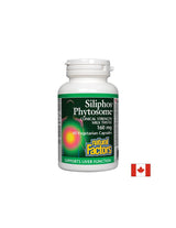 Premium -Milch -Distel / Siliphos Phytosom 160 mg - 60 Kapseln
