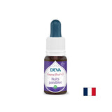 Friedliche Nächte, Bach -Methode fällt Nr. 2, 15 ml ab