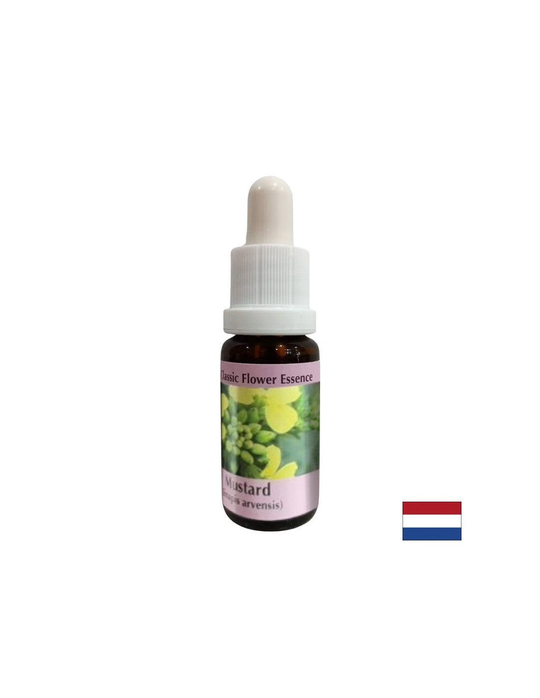 Gegen negative Gedanken und Depressionen - Essenz Sinap Nr. 21, Tropfen 15 ml