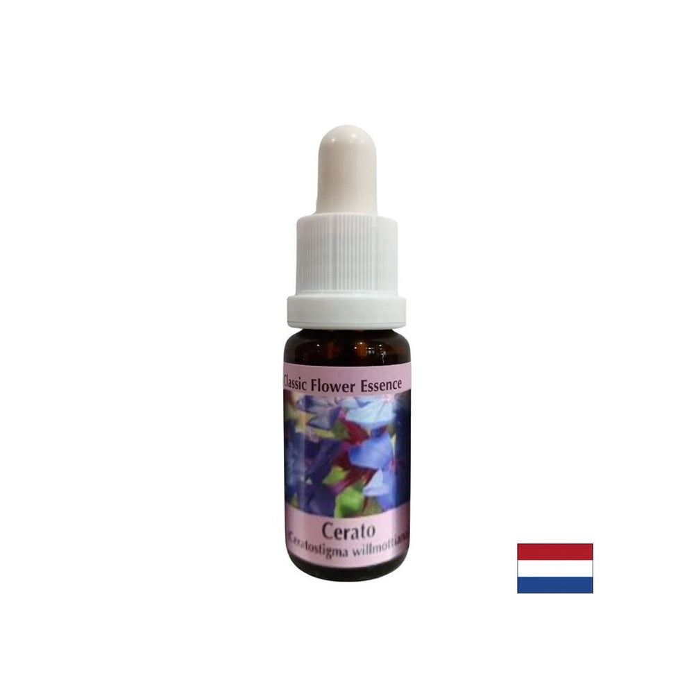 Stimuliert Intuition und Entscheidungsfindung - Essenz Ceratosigma (Wachs) Nr. 5, Tropfen 15 ml