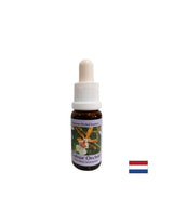 Stimuliert eine positive Einstellung zum Leben - Essenz bunte Orchidee Nr. 7, fällt 15 ml ab