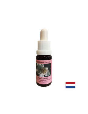 Stimulates vitality and activates creativity - Blackberry Essence No. 22, drops 15 ml - Nutra Best Europe
