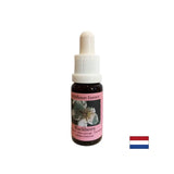 Stimuliert die Vitalität und aktiviert Kreativität - Blackberry -Essenz Nr. 22, fällt 15 ml ab