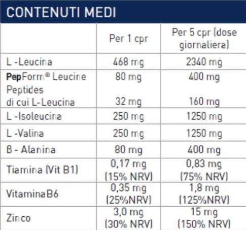 Ramtech - BCAA 2: 1: 1 - 360 Tabletten