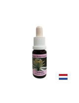 Verbindet die innere Welt mit Realität - Essence Povet Nr. 9, fällt 15 ml ab