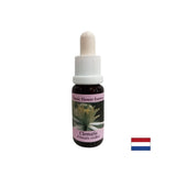 Verbindet die innere Welt mit Realität - Essence Povet Nr. 9, fällt 15 ml ab