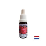 Verwandelt Selbstsucht in Liebe - orchide Herzessenz Nr. 12, fällt 15 ml ab