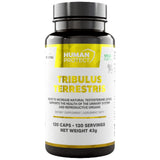 Tribulus terrestris 204 mg | mit 98% Saponinen - 120 Kapseln