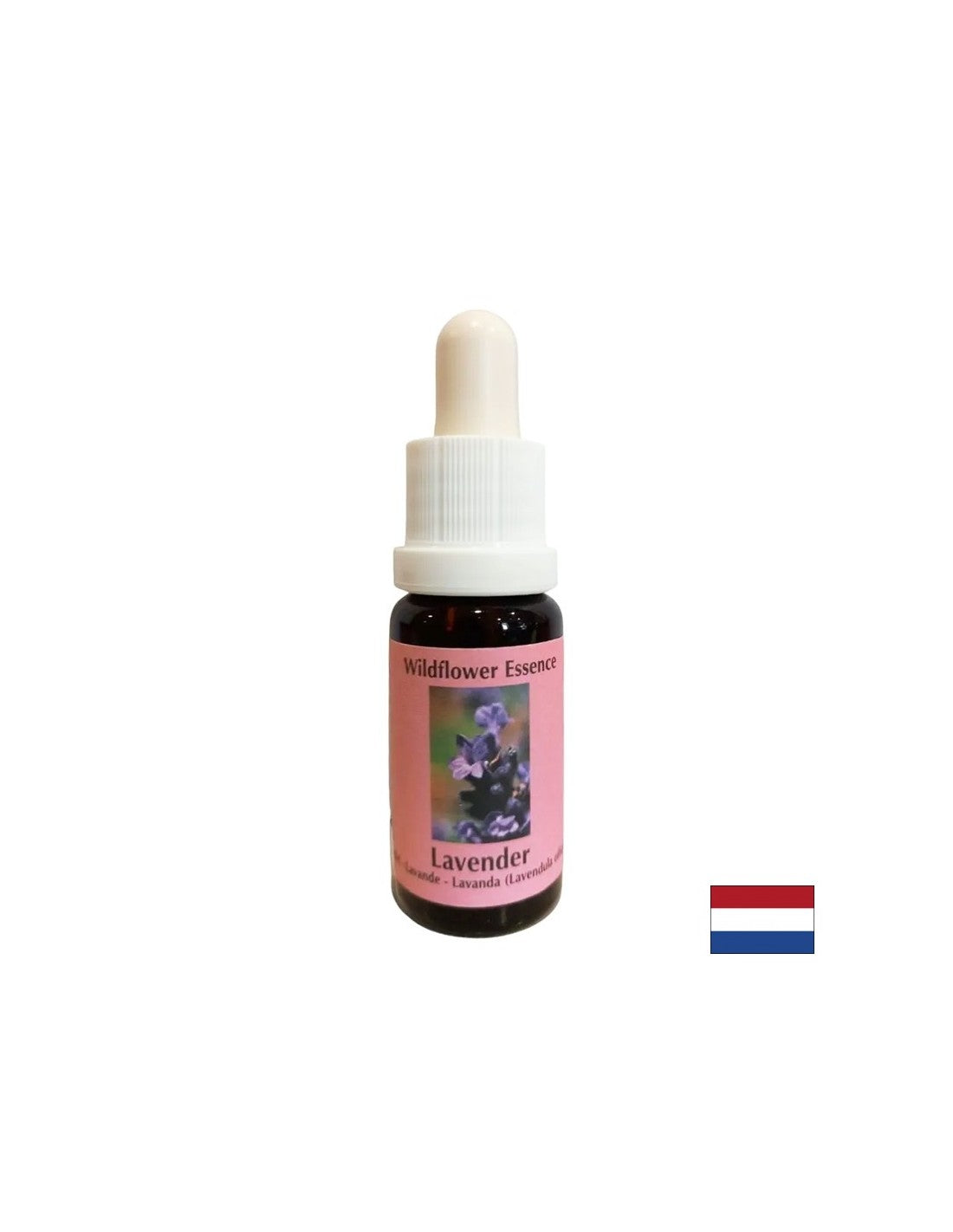 Beruhigt und integriert das Spirituelle in den Alltag - Lavendelessenz Nr. 30, 15 ml Tropfen