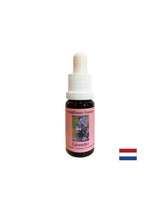 Beruhigt und integriert das Spirituelle in den Alltag - Lavendelessenz Nr. 30, 15 ml Tropfen