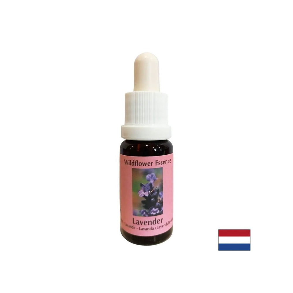 Beruhigt und integriert das Spirituelle in den Alltag - Lavendelessenz Nr. 30, 15 ml Tropfen