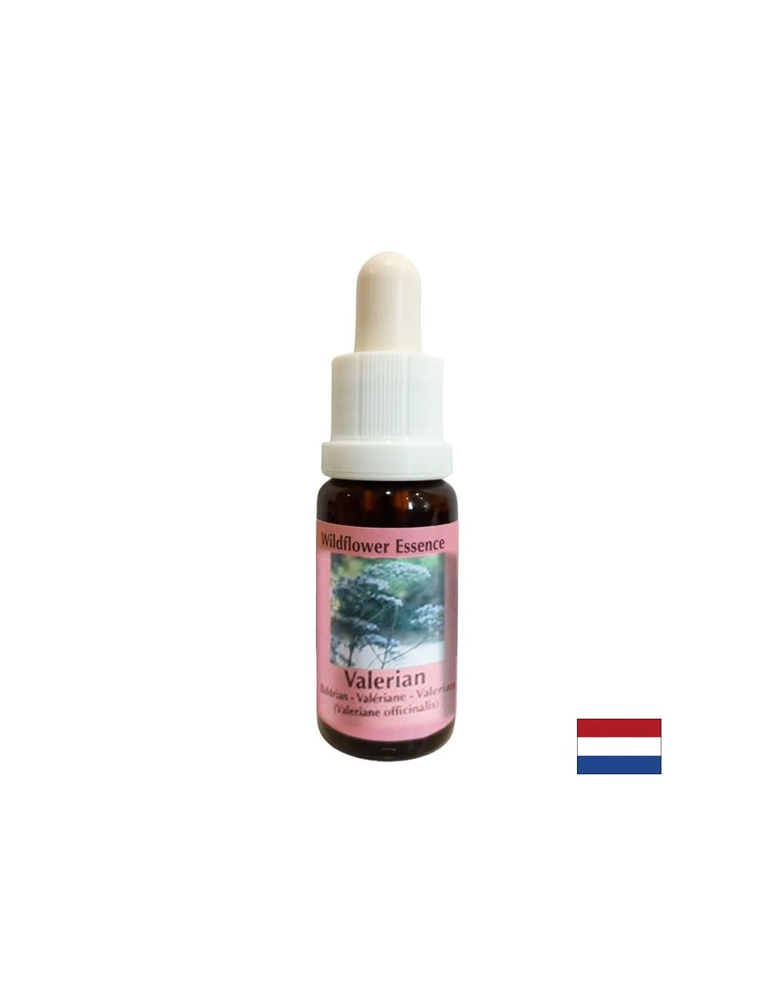 Beruhigt den Körper und Geist, hilft gegen Schlaflosigkeit und Stress - Valerianische Essenz Nr. 21, fällt 15 ml ab 15 ml