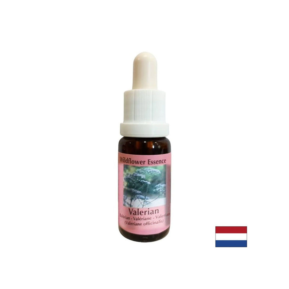 Beruhigt den Körper und Geist, hilft gegen Schlaflosigkeit und Stress - Valerianische Essenz Nr. 21, fällt 15 ml ab 15 ml