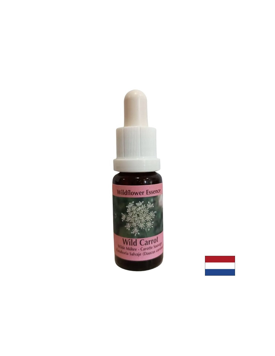 Beruhigt den Geist - wilde Karottenessenz, fällt 15 ml ab