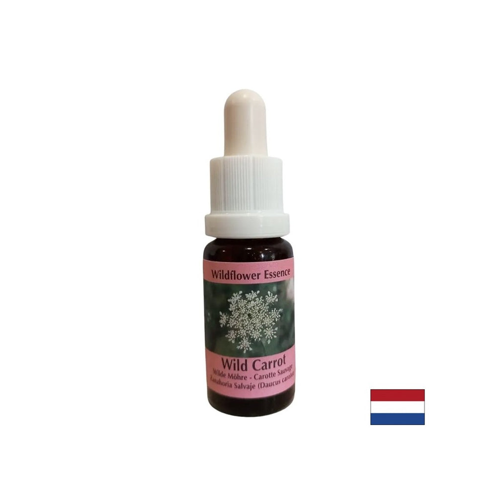 Beruhigt den Geist - wilde Karottenessenz, fällt 15 ml ab