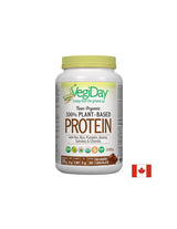 100% pflanzliches Protein - Schokolade - 1110 Gramm