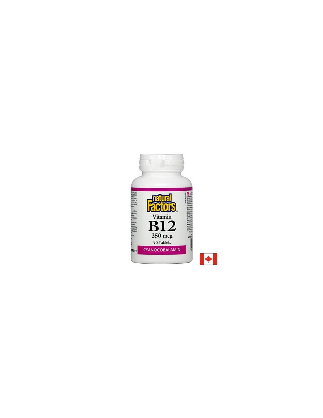 Vitamin B12 250 MCG - 90 Tabletten